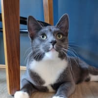 Photo of Spike