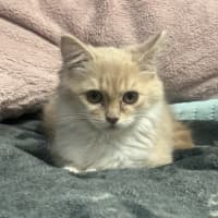 Photo of Rosemarie