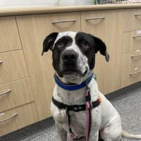 Photo of Jackie Chan