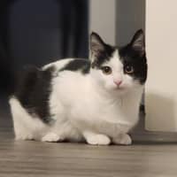 Photo of Sponge   Located In Avondale Heights