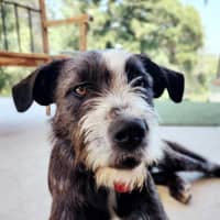 Photo of Benson
