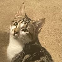 Photo of Avery