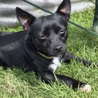 Photo of Scott (Turbo)