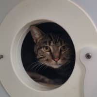 Photo of Benny