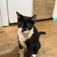 Photo of Tom
