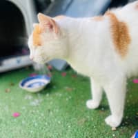 Photo of Charlie