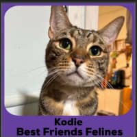 Photo of Kodie