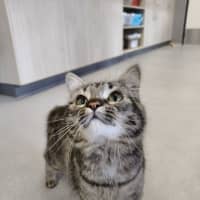 Photo of Billie Bean 