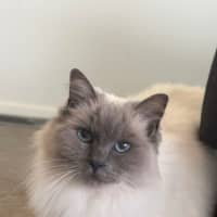 Photo of Missy 