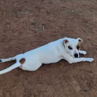 Photo of Missie