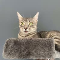 Photo of Aurora   Located In Bentleigh East