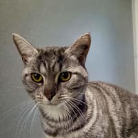 Photo of Tom