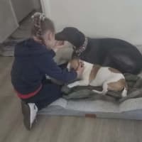 Photo of Secrets, The Greyhound 