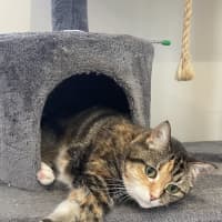 Photo of Dorothy