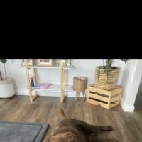 Photo of Freddy