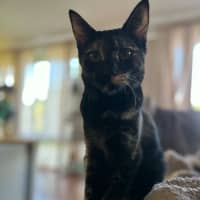 Photo of Gemma