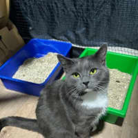 Photo of Tommy And Sammy