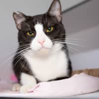Photo of Tucker
