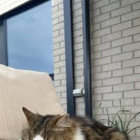 Photo of Hazel
