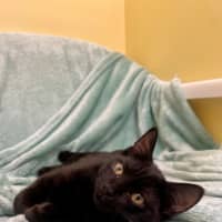 Photo of Rosie