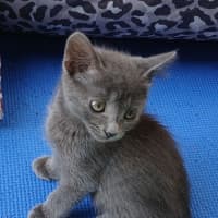 Photo of Sasha