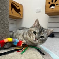 Photo of Stormi And Yeow Yeow