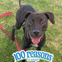 Photo of Louie