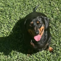 Photo of Bonni