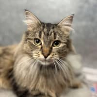 Photo of Wilma