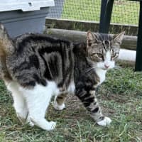 Photo of Apollo And Artemis