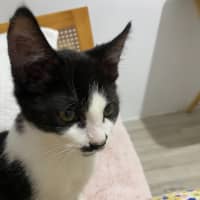 Photo of Milly