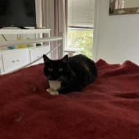 Photo of Minette