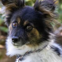 Photo of Betsy Moriarty