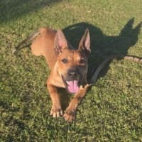 Photo of Arlo