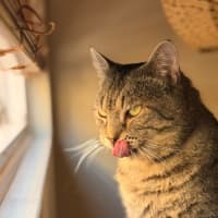 Photo of Tom