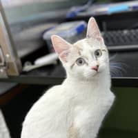 Photo of Soy