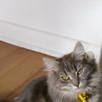 Photo of Matilda