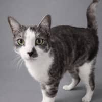Photo of Bentley