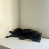 Photo of Bridget
