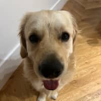 Photo of Digger