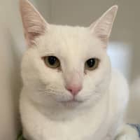 Photo of Lenard