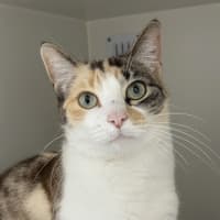 Photo of Seraphina