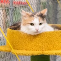 Photo of Ruth Russelton