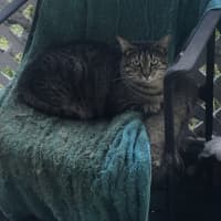 Photo of Sandy