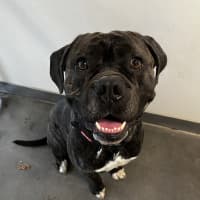 Photo of Duncan