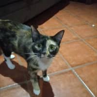 Photo of Mumma Patti 