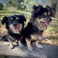 Photo of Kimchi And Kizha Newhaven