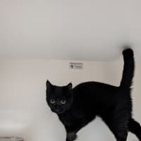 Photo of Witty