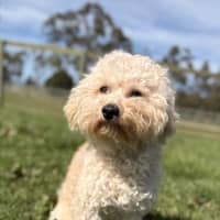 Photo of Ted
