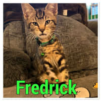 Photo of Fredrick